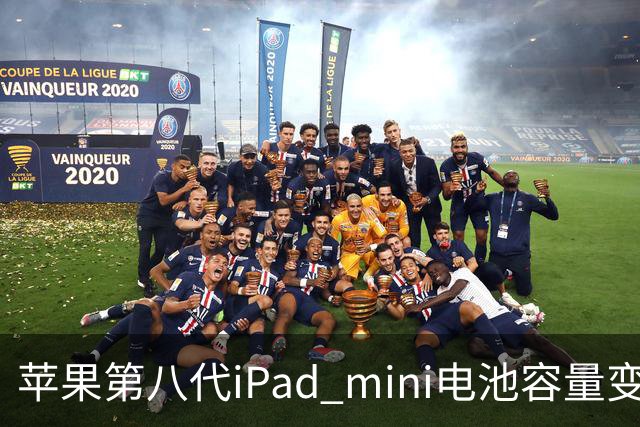 苹果第八代iPad mini电池容量变化与续航性能分析