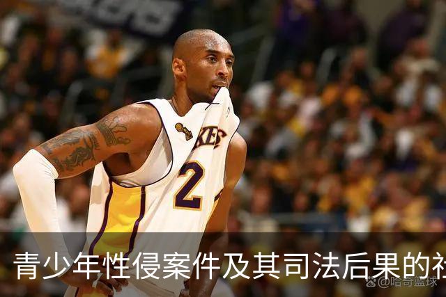 青少年性侵案件及其司法后果的社会探讨