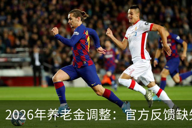 2026年养老金调整：官方反馈缺失与专家建议对争论的影响